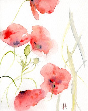 Oryginalna akwarela. Maki, alquadro