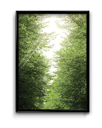 Plakat Promienie Słońca , Bury Lis
