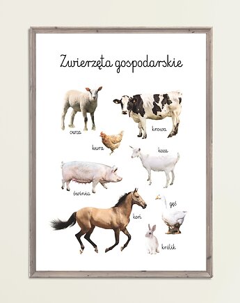 Plakat Zwierzęta Gospodarskie Montessori Farma, Maja Montessori