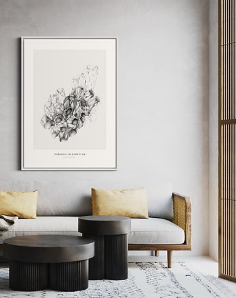 Pąkle 50x70 cm, Margo Hupert