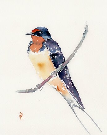 Oryginalna akwarela. Jaskółka, alquadro