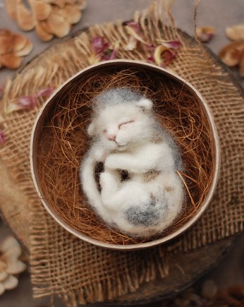 Śpiący Kociak  w pudełku, BoboLobo Handicraft