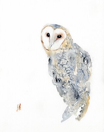 Oryginalna akwarela. Płomykówka, alquadro