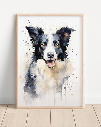 Plakat border collie, Whatever the timezone