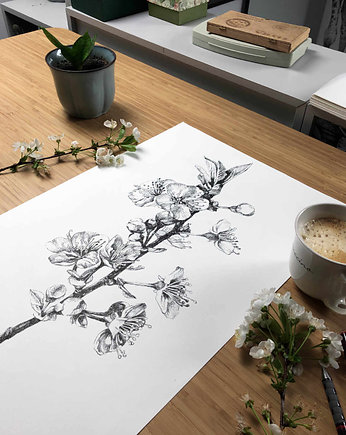 Kwitnąca wiśnia., beata sketches