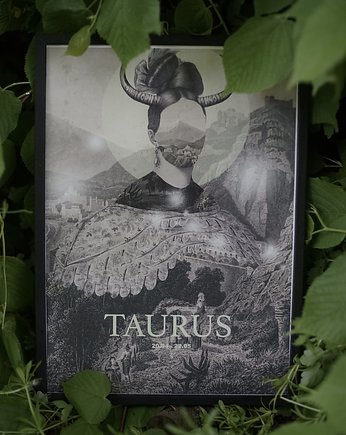 Taurus, zlepki sklejki