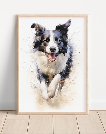 Plakat border collie, Whatever the timezone