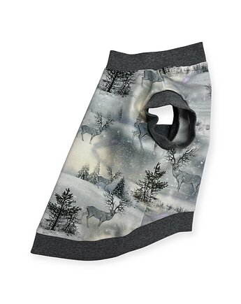 Bluza dla psa w zimowym klimacie, Psia szafa