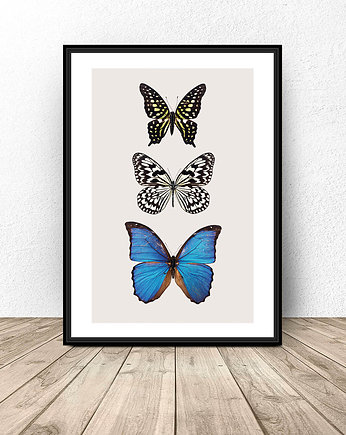Plakat "Motyle" IV, scandiposter