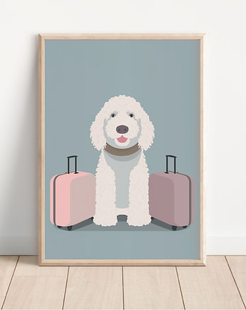 Plakat lagotto romagnolo, Whatever the timezone