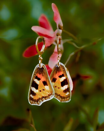 Kolczyki motyle rusałka osetnik, kwiaty biżuteria