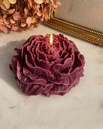 Świeca sojowa ekologiczna dekoracyjna piwonia peonia 100x40mm (duża), Coccola JEWELLERY