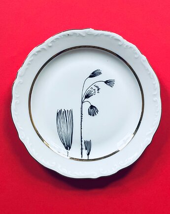 Wełnianka wąskolistna, arent plates