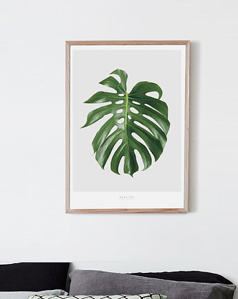 Plakat - Monstera A4, lemonducky