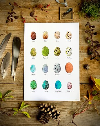 Jajka - grafika- ilustracja- plakat- eggs, BOSKE