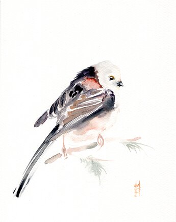 Oryginalna akwarela. Raniuszek, alquadro