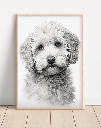 Plakat lagotto romagnolo, Whatever the timezone