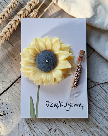 Podziękowania dla gości, Oyka Candle