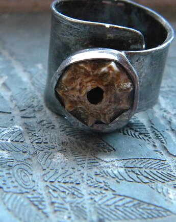 Skamielina rybna - pierścień, Beata Trotter