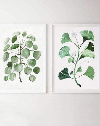 grafiki botaniczne | 30x40 cm, Anita Tomala