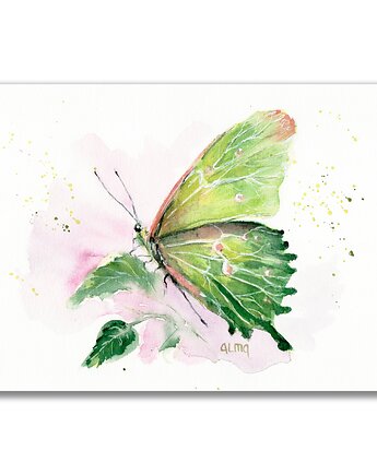 Obraz oryginalny "Kapustnik" motyl, Galeria Alma