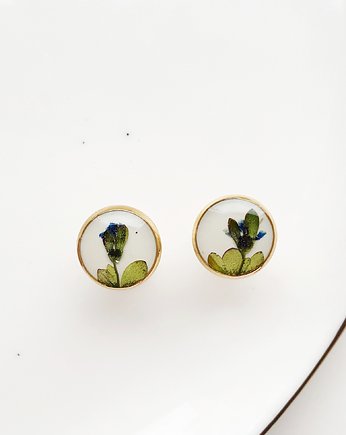 Kolczyki sztyfty z polnym kwiatem, Jaskółcze ziele handmade 