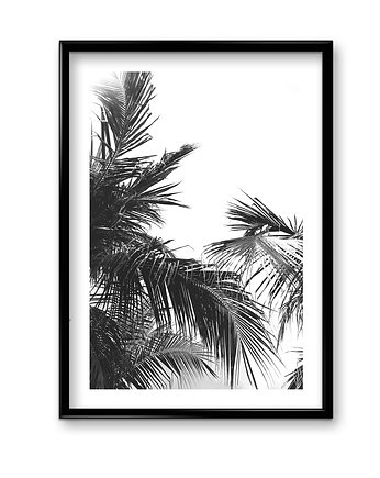 Plakat Botanic black&white #3 , Bury Lis