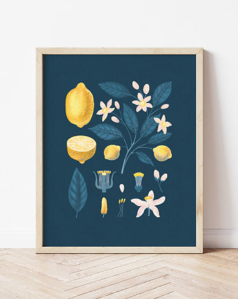 Plakat "Cytryny" na ciemnym tle 40x50, Studio Stonka