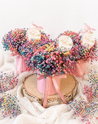 Flowerbox mini gipsówka stabilizowana, Łąka