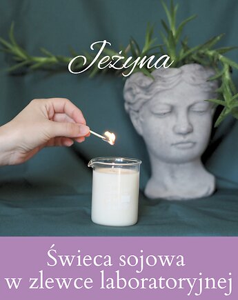 Zapachowa świeca sojowa w zlewce laboratoryjnej - Jeżyna, pine art