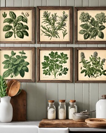 PLAKATY DO KUCHNI zioła botaniczne vintage, black dot studio
