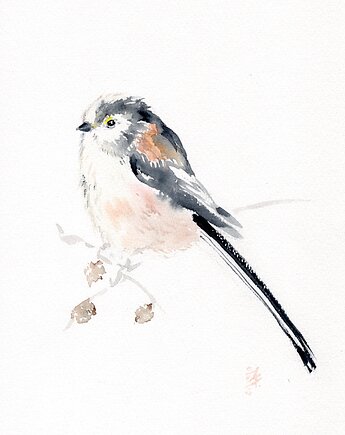 Oryginalna akwarela. Raniuszek, alquadro
