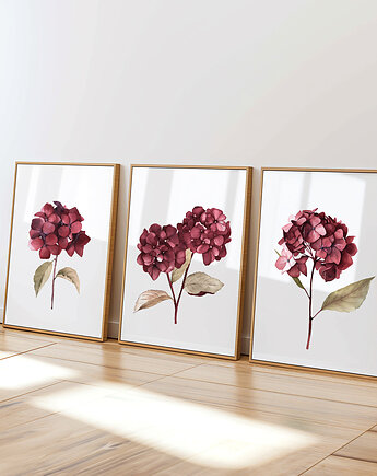Bordowe Hortensje - Zestaw trzech grafik botanicznych, Paperblue Studio