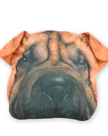 Poduszkopies SHAR PEI, Seepoint