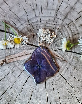 Hortensja w oprawie ze srebra, Czarowanie