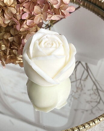 Świeca sojowa ekologiczna dekoracyjna "Rose" 57x60mm, Coccola JEWELLERY