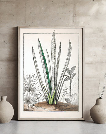 Plakat botaniczny, ArchiBotanica