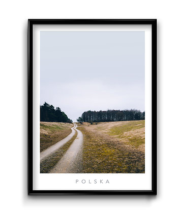 Plakat Polska No.1, Bury Lis