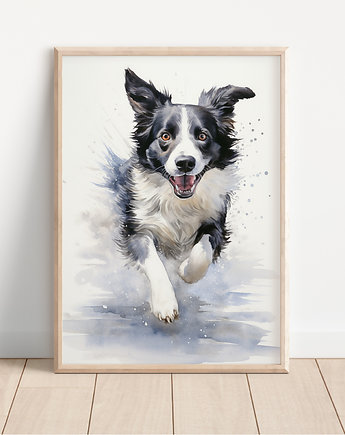 Plakat border collie, Whatever the timezone