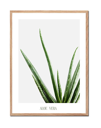 Plakat botaniczny ALOE VERA, OSOBY - Prezent dla koleżanki