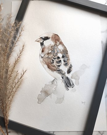 Akwarela wróbel, Wiktoria Borys Art