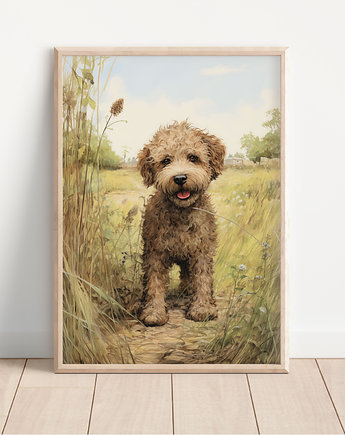 Plakat lagotto romagnolo, Whatever the timezone