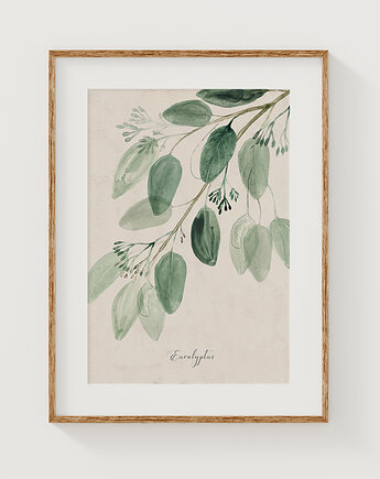 Plakat Eukaliptus  A3, Anita Tomala