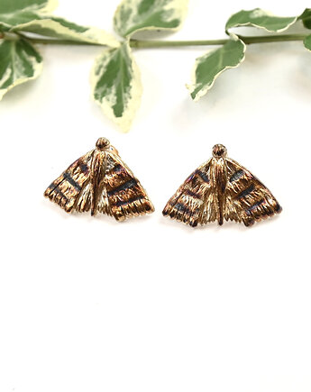 Kolczyki srebrne z Ćmami na sztyftach brązowe, VENUS GALERIA