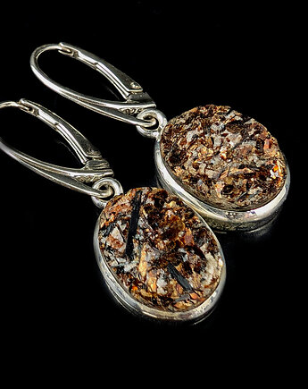 Złociste astrofility, Pracownia Neores