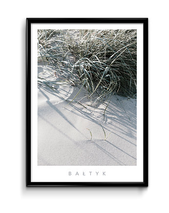 Plakat Bałtyk No. 2, Bury Lis