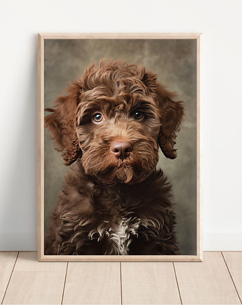 Plakat lagotto romagnolo, Whatever the timezone