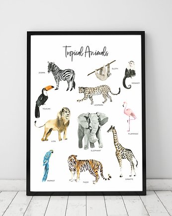 Plakat Tropical Animals - Tropikalne Zwierzęta, TamTamTu