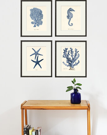 Zestaw 4 grafik koralowiec motywy  morskie, Victorian wall art