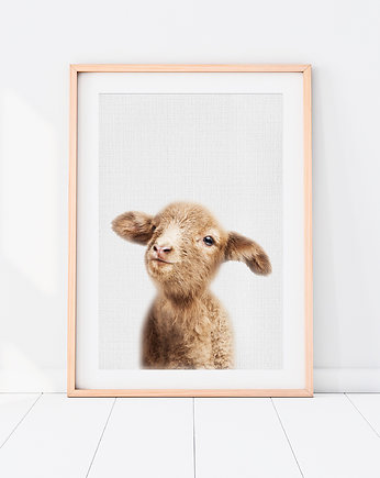Plakat Owieczka - Plakat do pokoju dziecka, LOVINA PRINTS